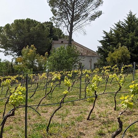 Casale Mon Rahal Villa San Giuseppe Jato Eksteriør billede